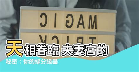 天相夫妻宮離婚|「婚姻奇蹟！紫微斗數解讀夫妻宮，揭開你與伴侶的命運連結！」。